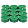 NEW PARTYLITE Evergreen Fir Winterwald Universal Tealight Candles  - pack of 12