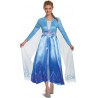 NEW SMALL Disguise womens Disney Elsa Frozen 2 Deluxe Adult Costume