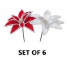 NEW Poinsettia Pick with White Border (Set of 6)