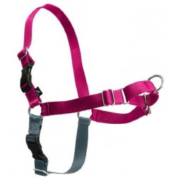 NEW MEDIUM PetSafe Easy Walk Dog Harness, No Pull Dog Harness, Raspberry/Gray