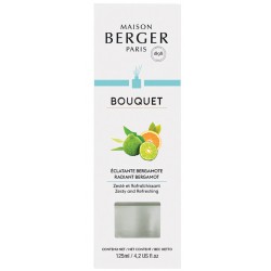NEW 125ML Maison Berger Paris Bouquet Diffuser