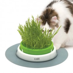 NEW Catit Senses 2.0 Grass Planter