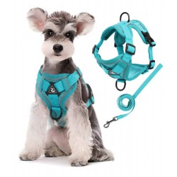 NEW LARGE 1set Pet Chest And Back Harness With Leash, Reflective And Breathable Vest Style Dog And Cat Harness, Suitable For Small And Medium Pets, Great For Outdoor Walking