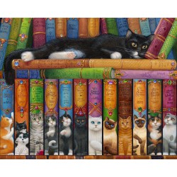 NEW Cat Bookshelf Jigsaw Puzzle 1000 Piece by Vermont Christmas Company