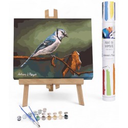 NEW Winnies Picks Curious Blue - PAINT BY NUMBERS