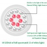 NEW IPower 12W Full Spectrum Grow Light Bulb with 6 Red and 12 White LEDs Lamp, for Garden, Herbs and Indoor Plants, Suitable for E26 Socket, 1 Pack