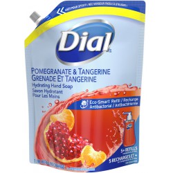 NEW EXP: DEC/2024 - Dial Antibacterial Eco-Smart Pomegranate & Tangerine Hydrating Hand Soap Refill 1.18L