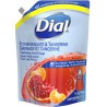 NEW EXP: DEC/2024 - Dial Antibacterial Eco-Smart Pomegranate & Tangerine Hydrating Hand Soap Refill 1.18L