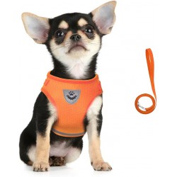 NEW SMALL FEimaX Dog Harness and Leash Set, No-Pull Breathable Soft Mesh Puppy Vest Harness Reflective Adjustable Pet Harnesses for Small Medium Large Dogs and Cats - Outdoor Easy Control for Walking