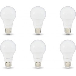 NEW Amazon Basics 60W Equivalent, Daylight, Dimmable, 10,000 Hour Lifetime, A19 LED Light Bulb | 6-Pack