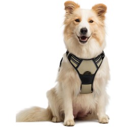 NEW MEDIUM rabbitgoo Dog Harness, No-Pull Pet Harness with 2 Leash Clips, Adjustable Soft Padded Vest, Reflective No-Choke Pet Oxford Vest with Easy Control Handle for Medium Dogs, Beige, M