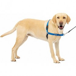 PREVIOUSLY USED M/L PetSafe Easy Walk Dog Harness, No Pull Dog Harness