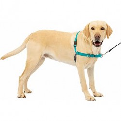 NEW LARGE PetSafe Easy Walk No-Pull Dog Harness - The Ultimate Harness to Help Stop Pulling - Take Control & Teach Better Leash Manners - Helps Prevent Pets Pulling on Walks - Large, Teal