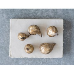 NEW CREATIVE CO-OP Resin Figs with Antique Finish, Set of 5
