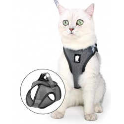 NEW LARGE Breathable Harness for Pet, Adjustable No Pull Harness for Dog & Cat, Dog Vest with 2 Leash Clips