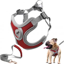 NEW SAEGYPET Dog Harness with Leash Set, No Pull Adjustable Step in with Breathable Padded Puppy Harness for Small Medium Large Dogs Training and Running (Red, M)