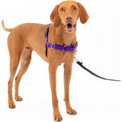 NEW MEDIUM PetSafe Easy Walk No-Pull Dog Harness - The Ultimate Harness to Help Stop Pulling - Take Control & Teach Better Leash Manners - Helps Prevent Pets Pulling on Walks - Medium, Purple