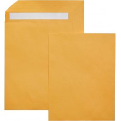 NEW 100/PACK AmazonBasics Catalog Mailing Envelopes, Peel & Seal, 10x13 Inch, Brown Kraft