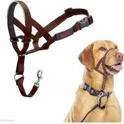 NEW HALTI Headcollar - to Stop Your Dog Pulling on The Leash. Adjustable, Reflective and Lightweight, with Padded Nose Band. Dog Training Anti-Pull Collar for Medium Dogs (Size 3, Deep Walnut)