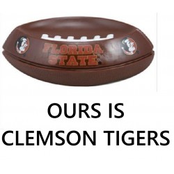 NEW CLEMSON TIGERS Soap Dish