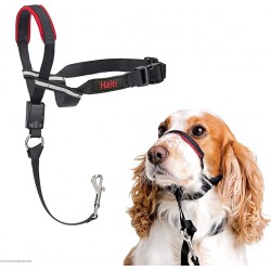 NEW MEDIUM HALTI Optifit Headcollar - To Stop Your Dog Pulling on the Leash. Adjustable, Reflective and Lightweight, with Padded Nose Band. Dog Training Anti-Pull Collar for Medium Dogs (Size Medium)