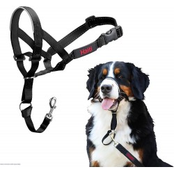 NEW SIZE 5 HALTI Headcollar - to Stop Your Dog Pulling on The Leash. Adjustable, Reflective and Lightweight, with Padded Nose Band. Dog Training Anti-Pull Collar for Large Dogs (Size 5, Black)