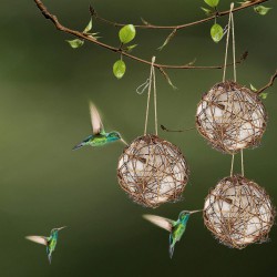 NEW Set of 3 Globe Hummingbird Nesters, Full of Bird Nesting Materials, Design for Bird Lovers, Idea Bird Gifts in Outdoor Indoor Patio Garden