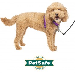 NEW SMALL PetSafe 3in1 Harness, from The Makers of The Easy Walk Harness, Fully Adjustable No-Pull Dog Harness, Plum, Small