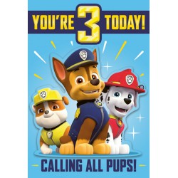 NEW 2 PACK HALLMARK PAW PATROL YOU'RE 3 MUSICAL CARDS WITH ENVELOPES, LARGE