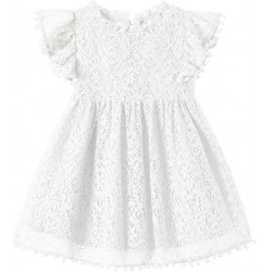 NEW SIZE 6 Niyage Toddler Girls Elegant Lace Pom Pom Flutter Sleeve Party Princess Dress