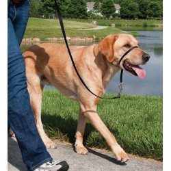 NEW (READ NOTES) Petsafe Easy Walk Headcollar – No-Pull Dog Collar – Perfect for Leash & Harness Training – Stops Pets from Pulling and Choking on Walks – Large, Black