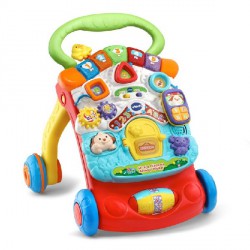 NEW VTech Stroll and Discover Activity Walker - English Edition