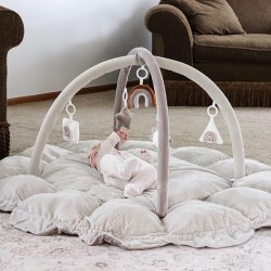 NEW Plush 5-in-1 Baby Gym