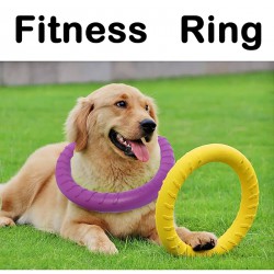 NEW 29 CM Galand Dog Training Ring, Pet Flying Ring Lightweight EVA Interactive Outdoor Interactive Training Ring Puppy Bite Toy for Pet Medium Dog, Purple