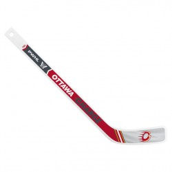 NEW  Ottawa Charge Mini Stick