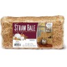 NEW FloraCraft Straw Bale, 6-Inch by 5-Inch by 13-Inch, Natural