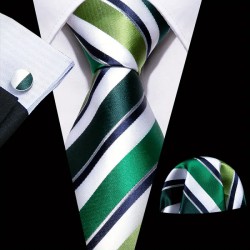 NEW MENS Barry.Wang Men Tie Set Handkerchief Cufflink Business Formal Neckties for Men Stripe Plaid, n5457