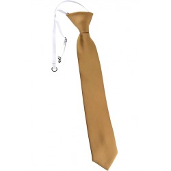 new Young Boys' Solid Color 11 inch Pre-Tied with elastic band neck tie, beige